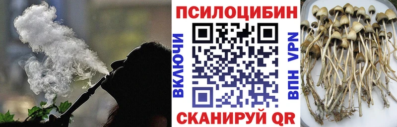 Галлюциногенные грибы Magic Shrooms  Бирюч 